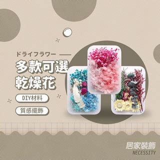 乾花|【乾燥花製作】居家DIY超間單，花藝師教你 6 個乾燥花製作方。